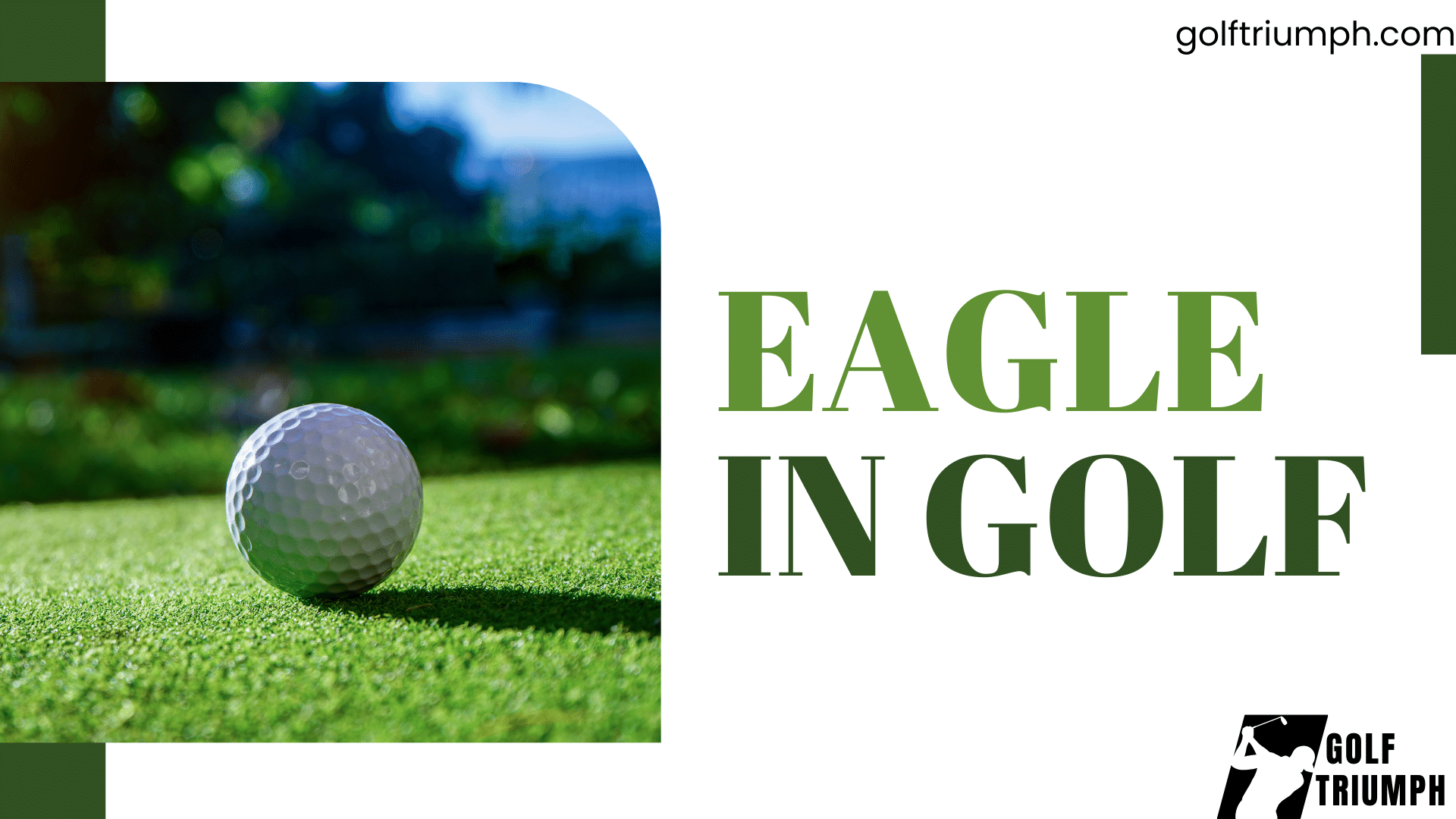 Eagle in Golf Achieve Excellence with Pro Strategies