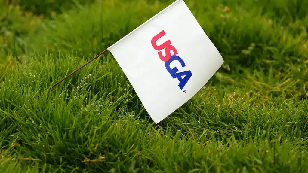 A USGA flag placed in grass