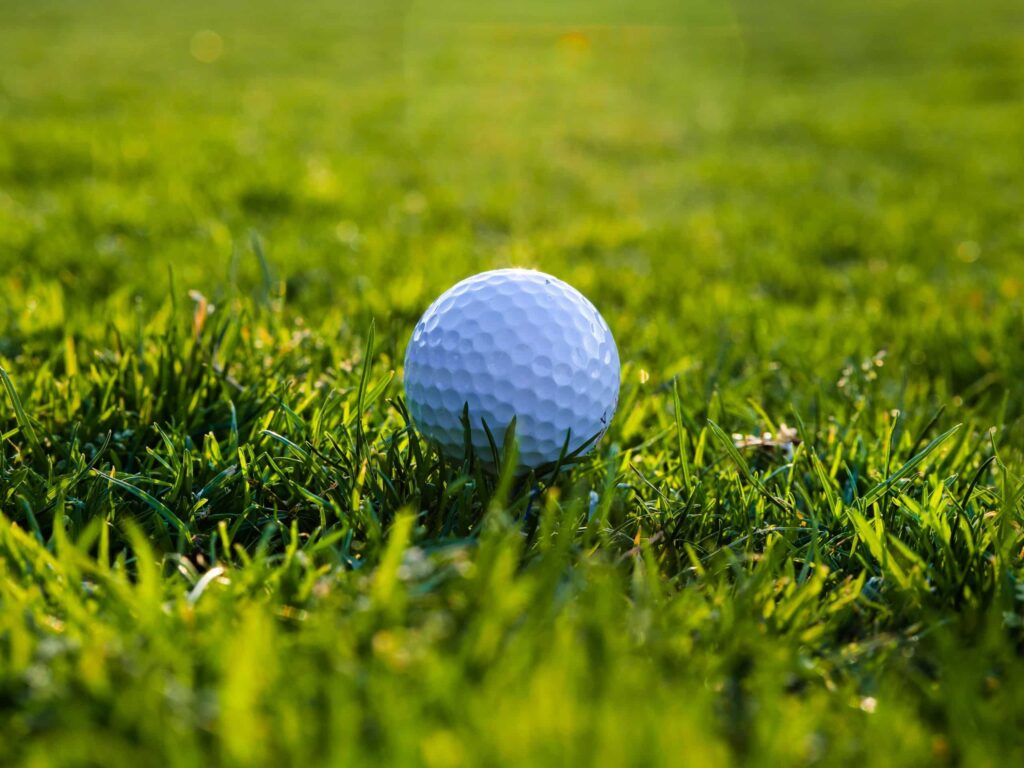 A dimpled golf ball placed in grass