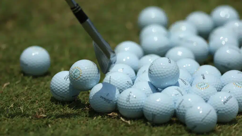 A bunch of white golf balls in grass