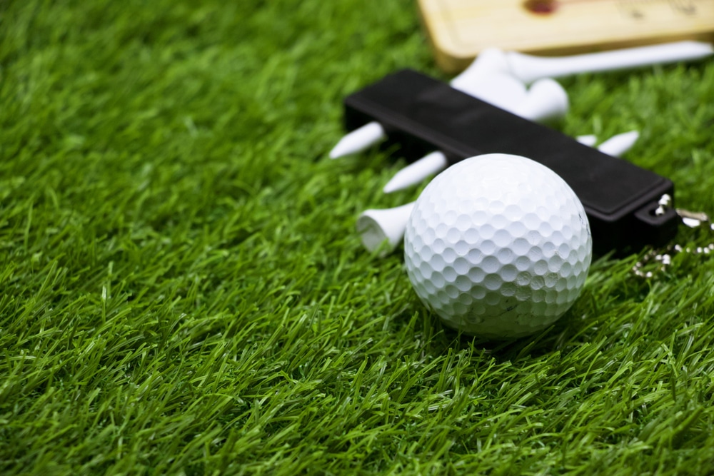 A view of a golf ball and tees in the grass