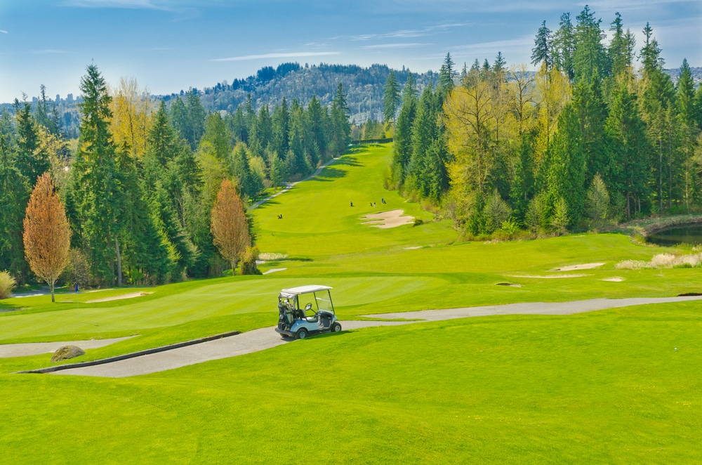 A wide view of a golf country golf