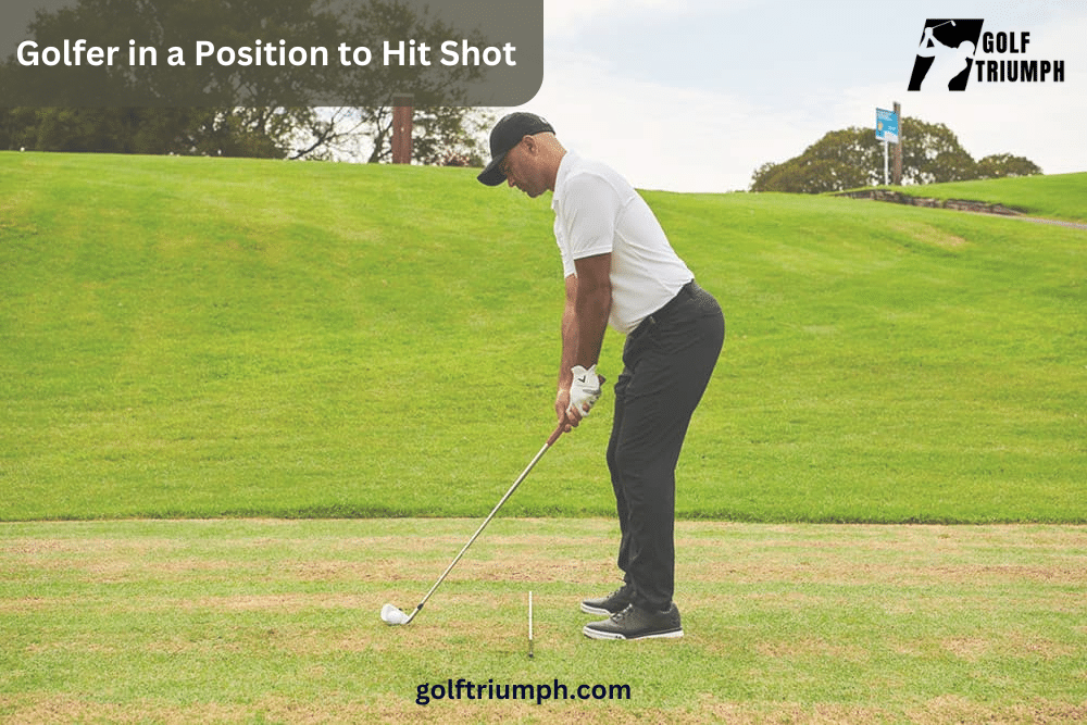 Golfer in a Position to Hit Shot