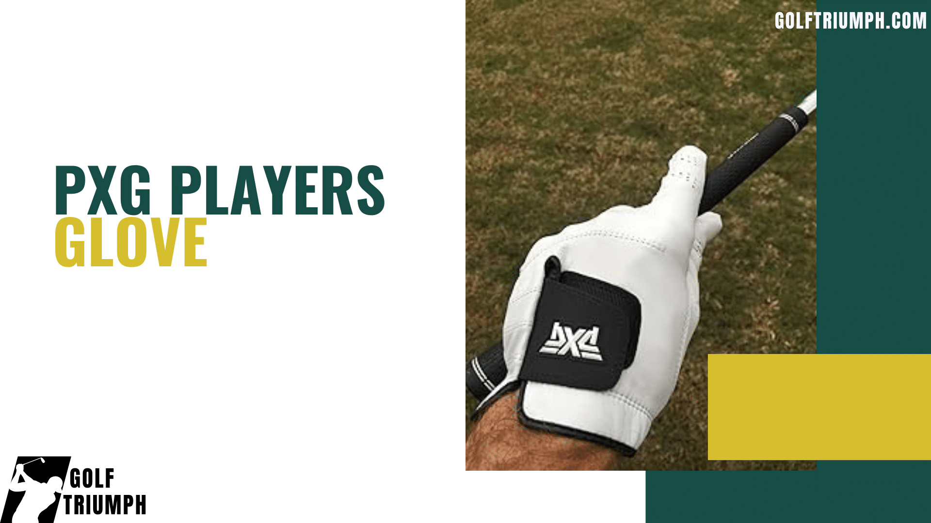 PXG Players Glove 